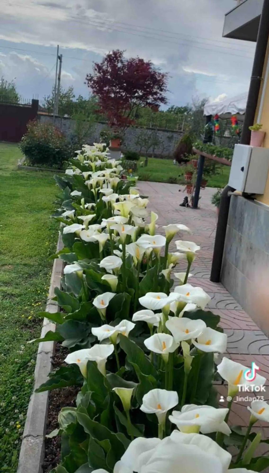 Linda Rum i privatbostad Shkodër